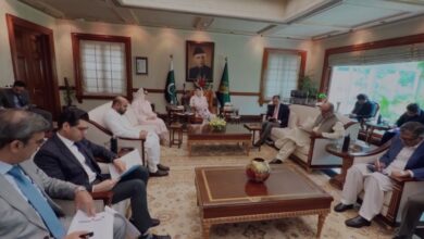 cm punjab maryam nawaz