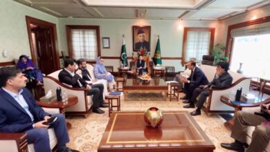 cm punjab maryam nawaz