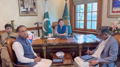 cm punjab maryam nawaz