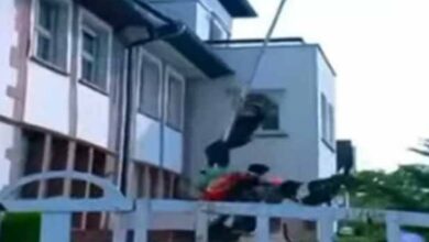 conslate of pakistan germany