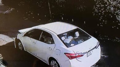 corola gang in action