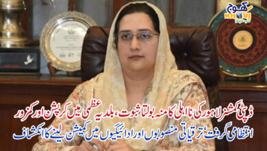 dupty commissioner lahore