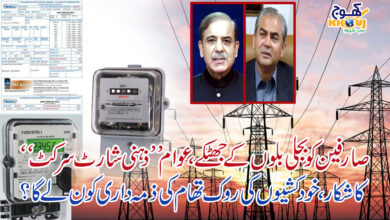 electric bill shahbaz sharif and mohsin naqvi