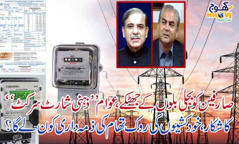 electric bill shahbaz sharif and mohsin naqvi