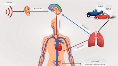 envoirnmentel desies