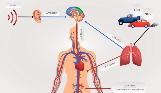 envoirnmentel desies