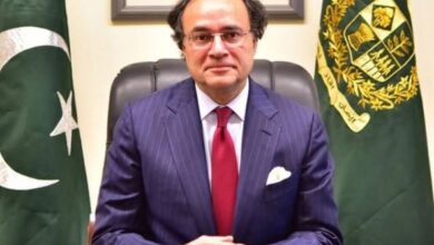 finance minister m aurangzeb