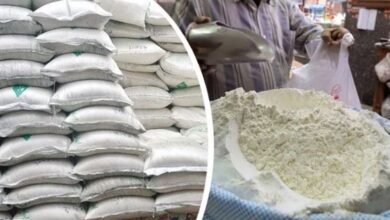 flour prices down
