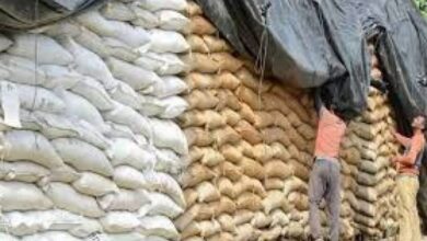 flour prices high