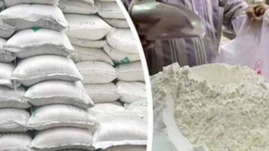 flour prices in market