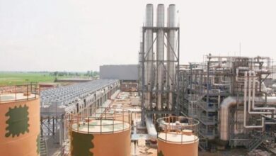 ippes owner of pakistan