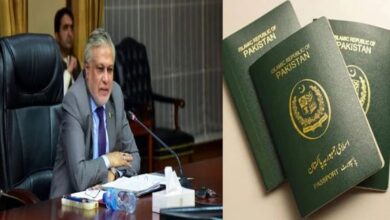 ishaq dar