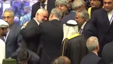 ishaq dar meet with ismail hania