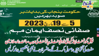 local government and community development