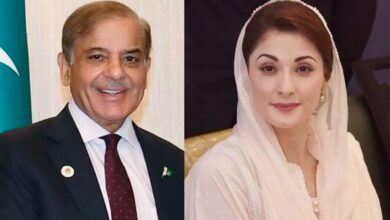 maryam nawaz and shahbaz sharif