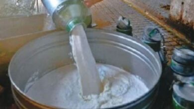 milk
