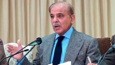pm shebaz sharief