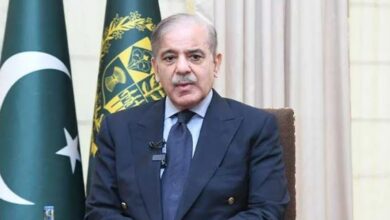 pm shebaz sharief reached karachi