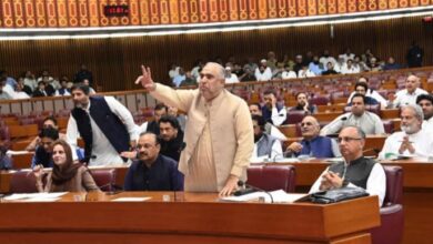 pti party member in superem court disicion