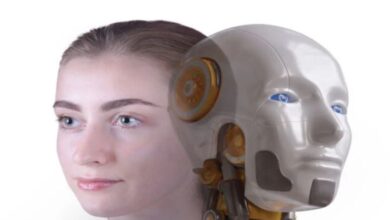 robot