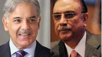 shahbaz and zardari
