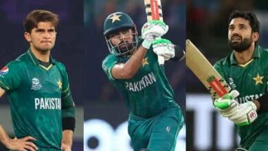 shaheen babar rizwan