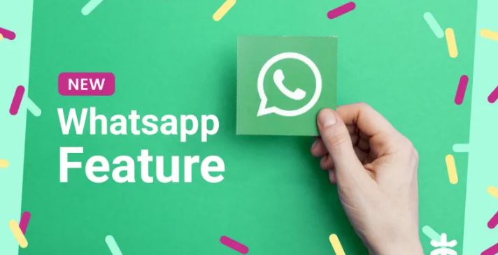 whats app feature