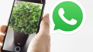 whats app photo editing