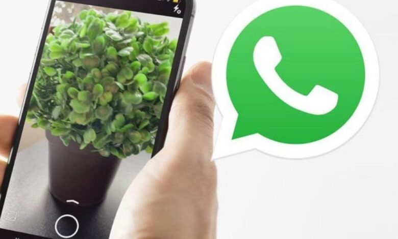 whats app photo editing