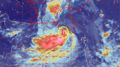 Hurricanes in the Arabian Sea