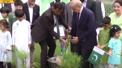 Prime Minister Shehbaz Sharif inaugurated the plantation campaign