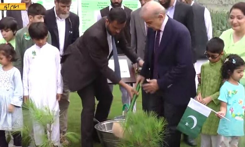 Prime Minister Shehbaz Sharif inaugurated the plantation campaign
