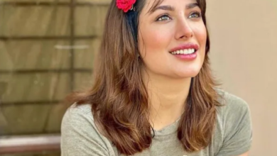 actress mehvish hayat