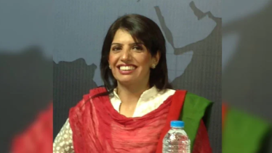 aliya hamza
