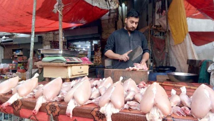 chicken prices low in queeta