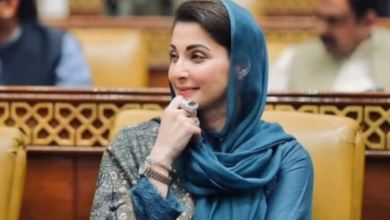 cm maryam nawaz