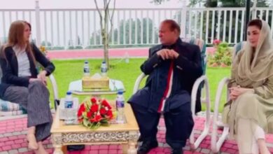 cm maryam nawaz and nawaz sharief meets british high