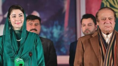 cm maryam nawaz,nawaz sharief