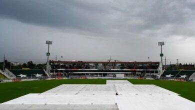 cricket