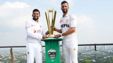 cricket series