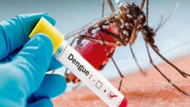 dengue