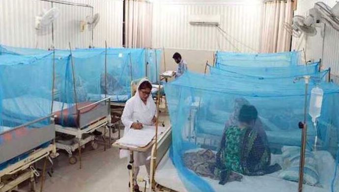 dengue in lahore