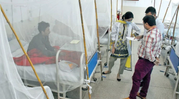 dengue virus