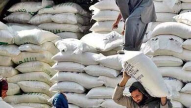 flour prices down