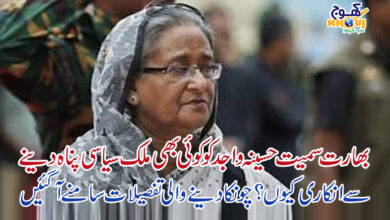 haseena wajid