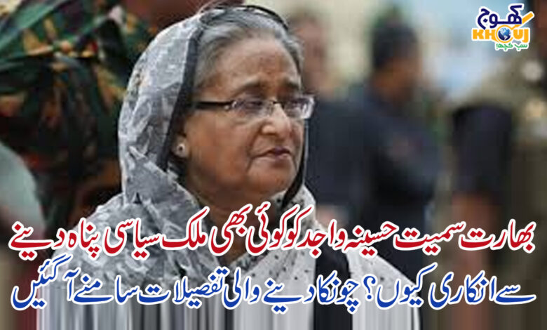 haseena wajid