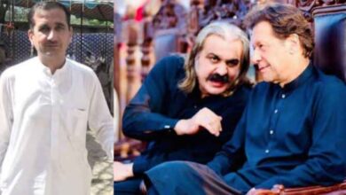 imran khan,ali amin gandapur