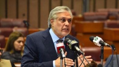ishaq dar