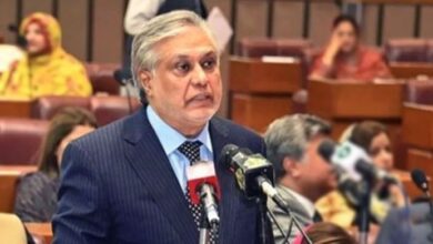 ishaq dar in senat