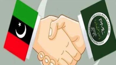 logo of ppp and n league